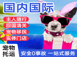 无锡航空快递国际宠物托运 【国